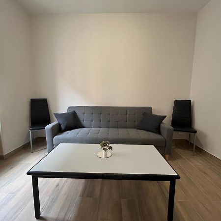 Appartement Renove A 15 Min De Lyon Saint-Fons المظهر الخارجي الصورة