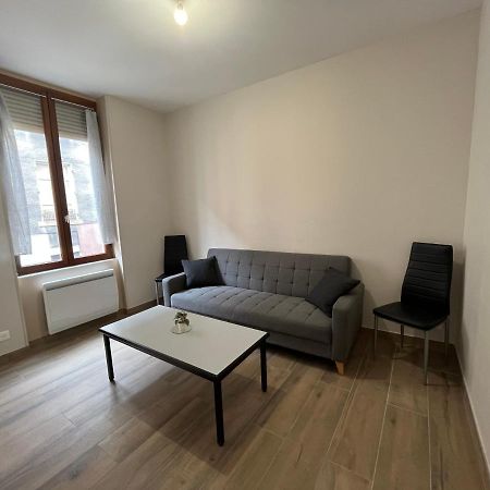 Appartement Renove A 15 Min De Lyon Saint-Fons المظهر الخارجي الصورة