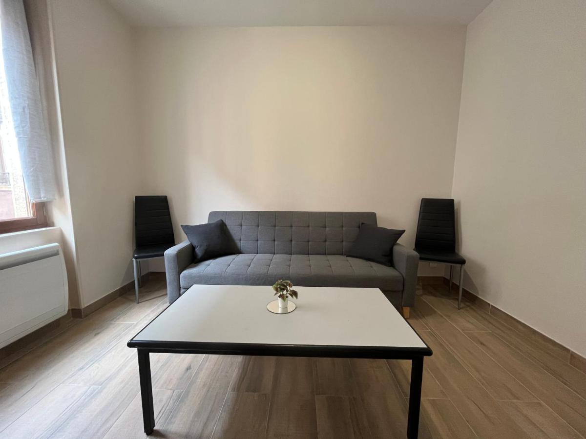 Appartement Renove A 15 Min De Lyon Saint-Fons المظهر الخارجي الصورة
