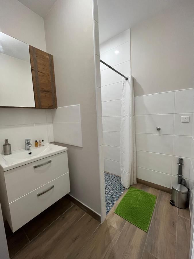 Appartement Renove A 15 Min De Lyon Saint-Fons المظهر الخارجي الصورة