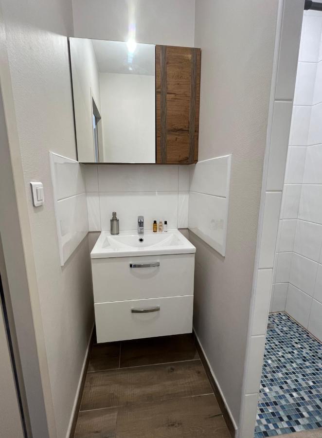Appartement Renove A 15 Min De Lyon Saint-Fons المظهر الخارجي الصورة