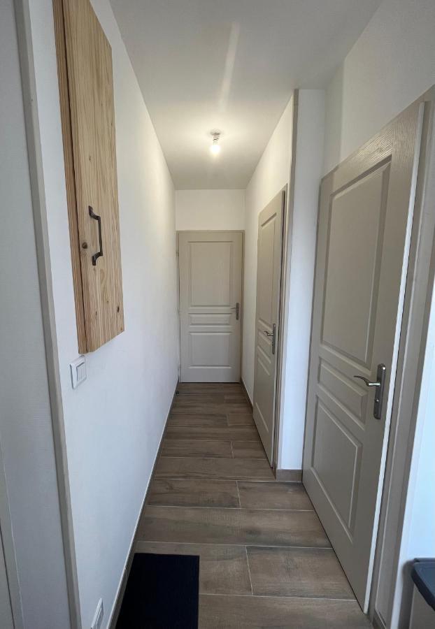 Appartement Renove A 15 Min De Lyon Saint-Fons المظهر الخارجي الصورة